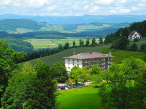 Отель Hotel Bad Ramsach, Лойфельфинген